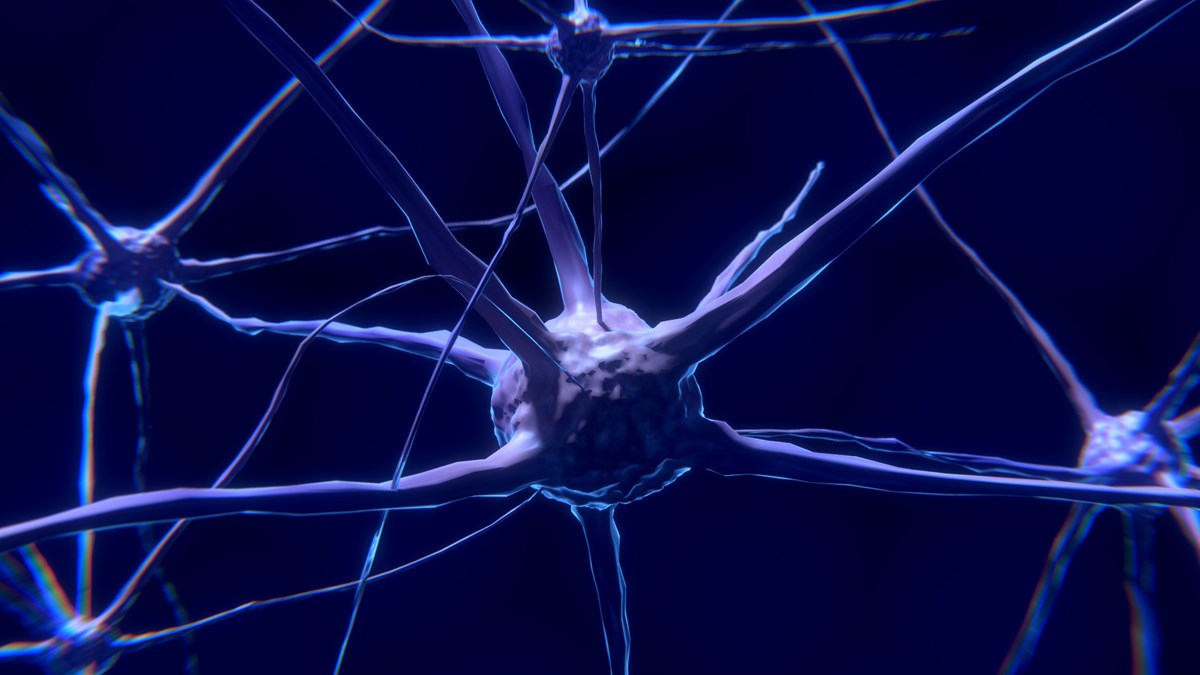 Neurophysiology with the basics of zoopsychology