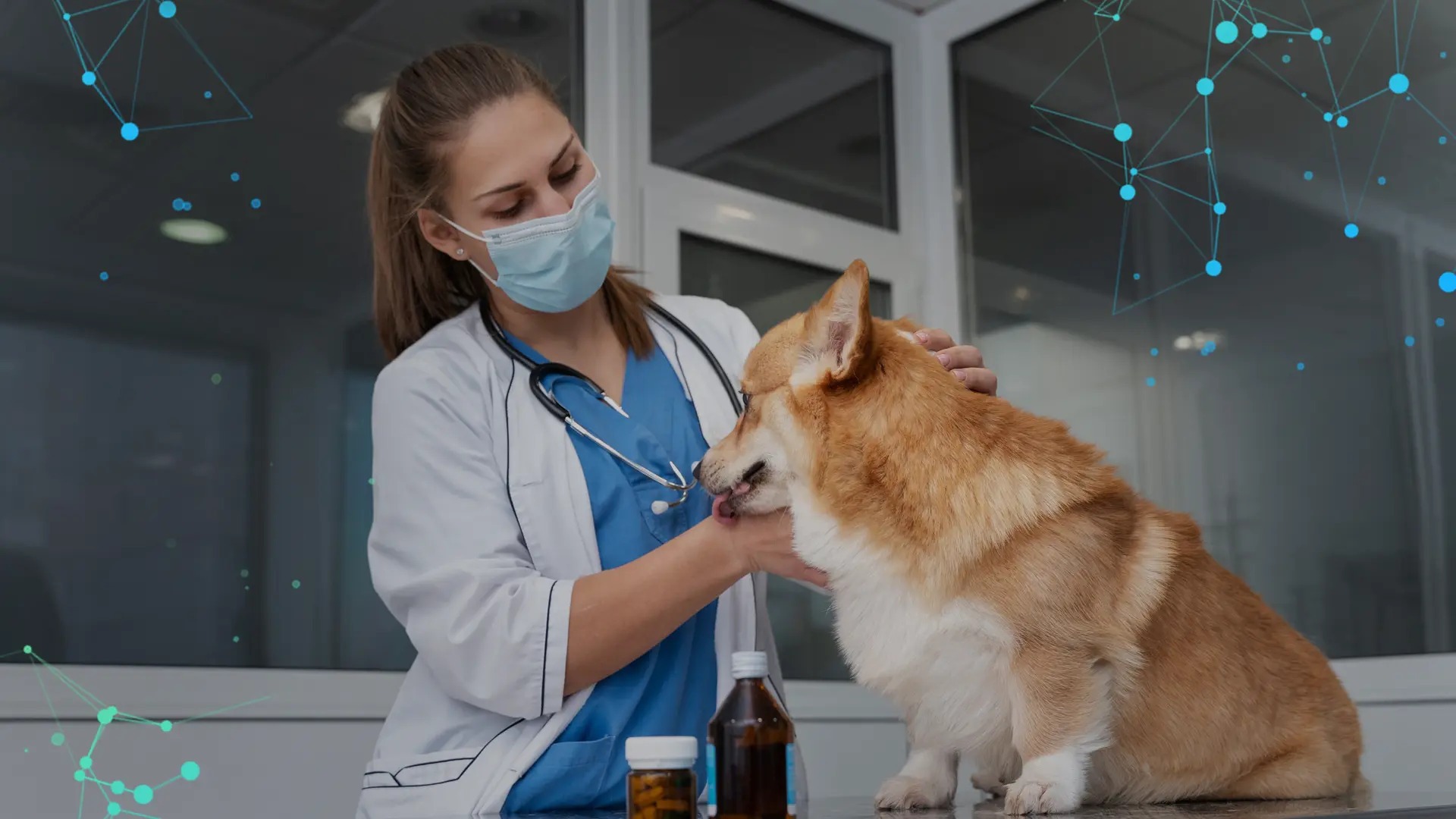 veterinary-drugs
