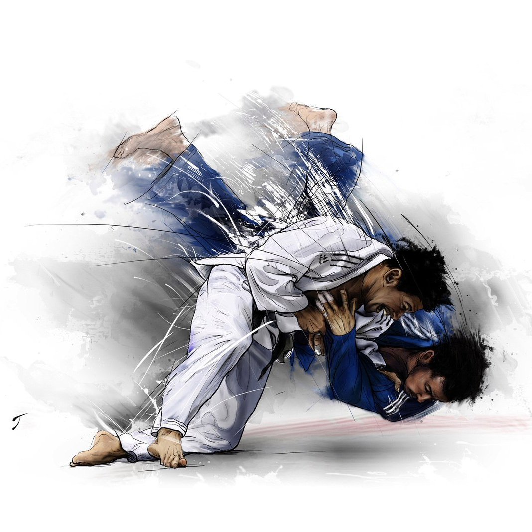 1680382349_kartinki-pibig-info-p-dzyudo-krasivie-kartinki-arti-1