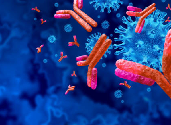 Antibodies and antibody background and Immunoglobulin concept as t cells attacking contagious virus cells and pathogens as a 3D illustration.