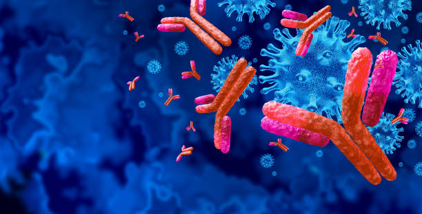 Antibodies and antibody background and Immunoglobulin concept as t cells attacking contagious virus cells and pathogens as a 3D illustration.